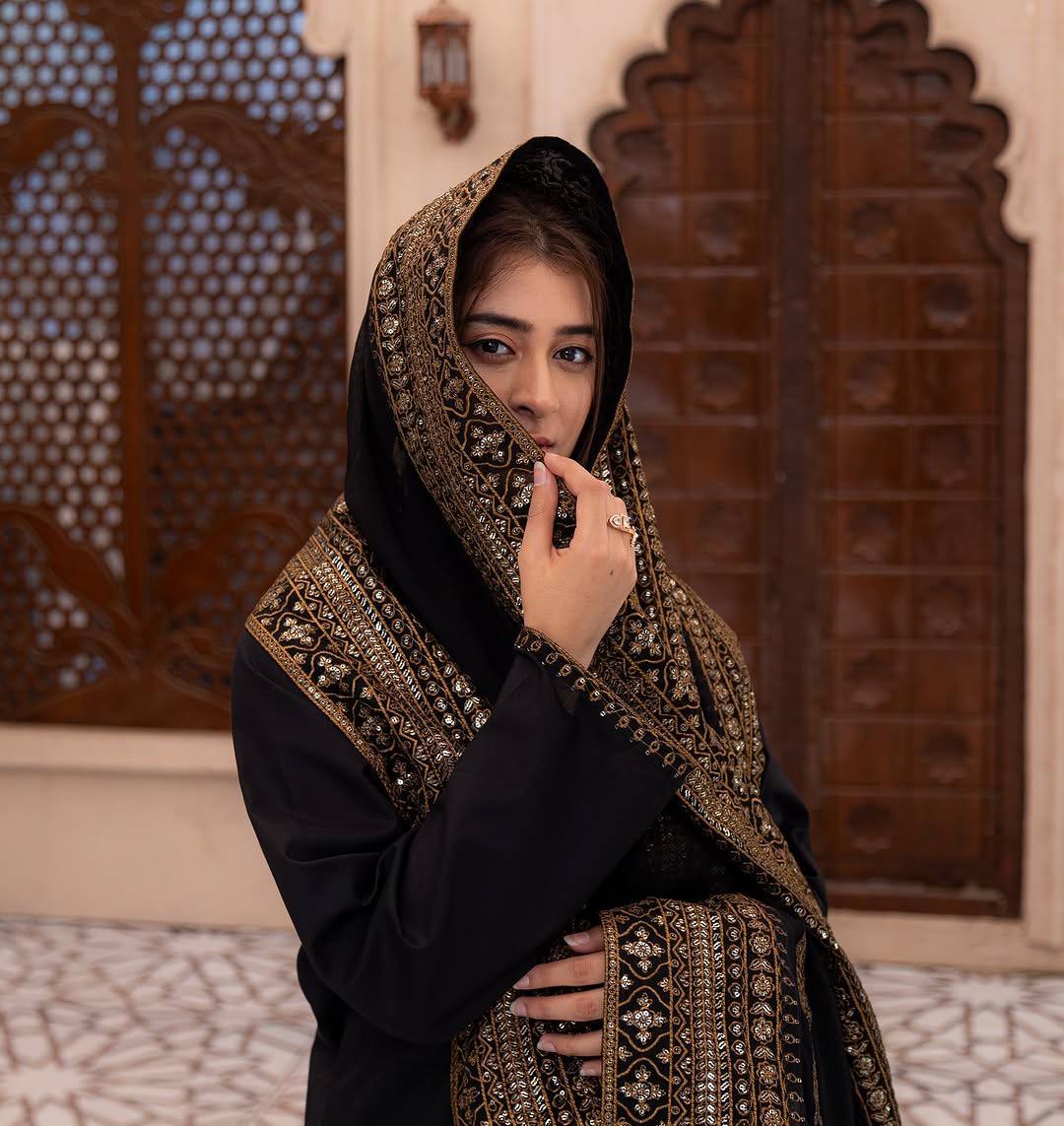 Regal Black & Bronze Embroidered Silhouette
